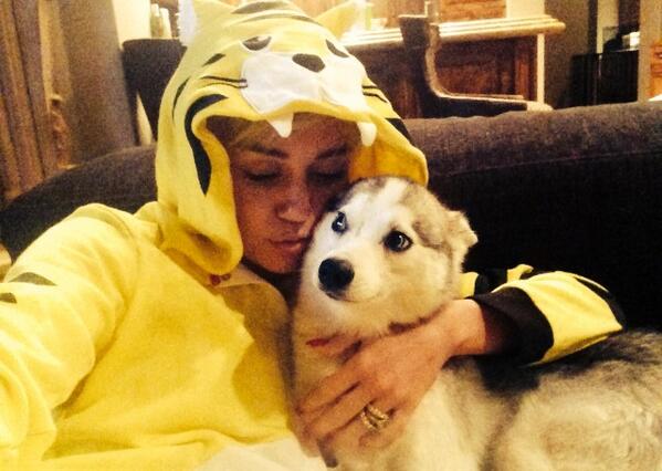 Miley Cyrus ancora depressa per la morte del cane Floyd