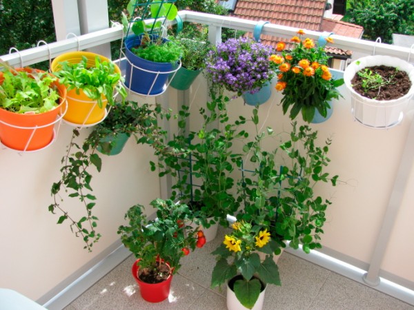 Fare giardinaggio con i bambini - I fiori del balcone