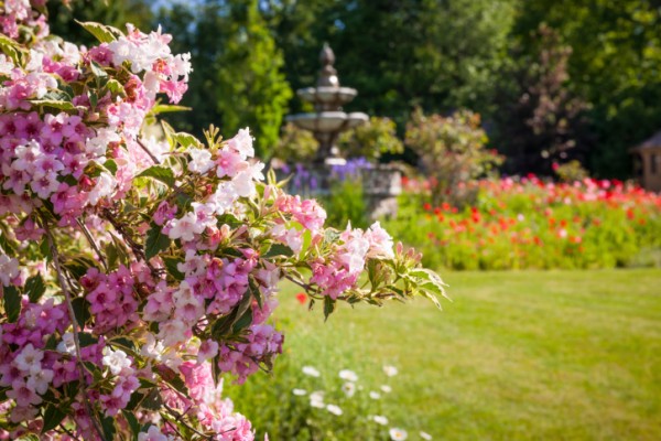 I lavori in giardino del mese di giugno 