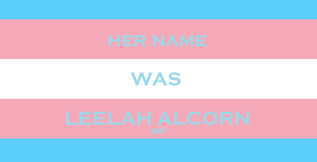 Il post di addio di Leelah Alcorn, transgender americano 