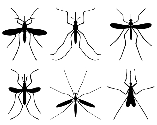 3 rimedi naturali per allontanare di casa le zanzare