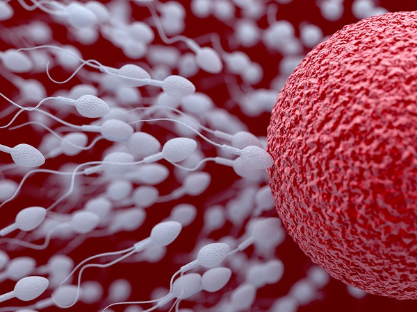 11 cose da sapere sugli spermatozoi