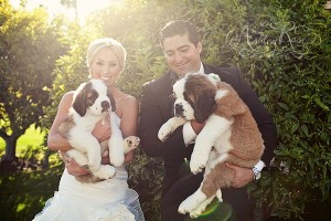 5 modi includere cane matrimonio