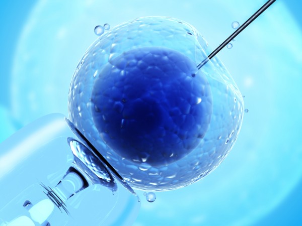 Sentenza definitiva della Corte UE vieta la ricerca sugli embrioni