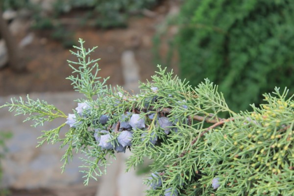 ThinkstockPhotos-492317504