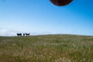 uomini fotografano testicoli paesaggi mozzafiato