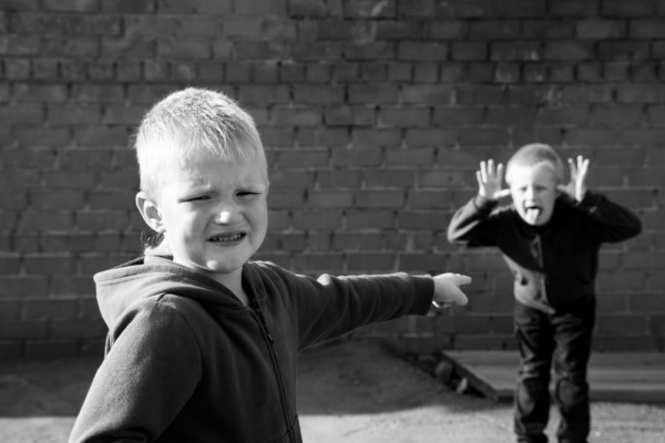 shutterstock_311542649