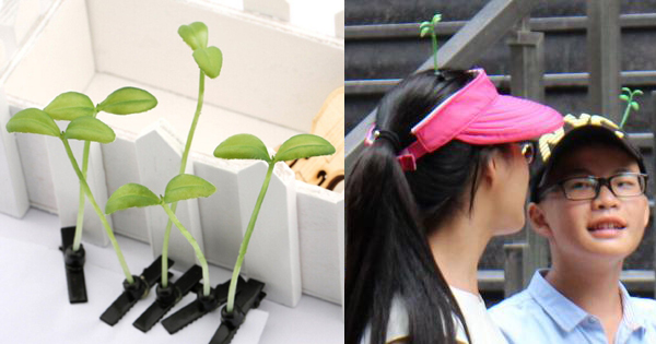Dalla Cina la nuova moda: coltivare fiori tra i capelli