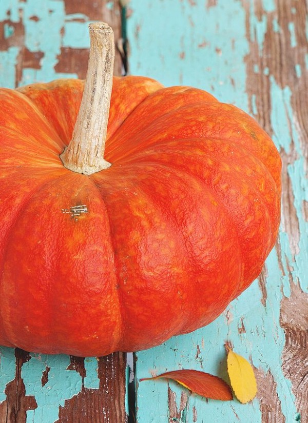 Zucche colorate per i bambini allergici, le decorazioni pensate per Halloween