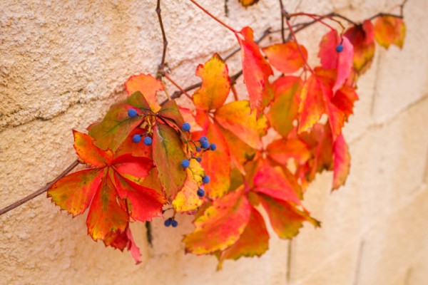 ThinkstockPhotos-493940040