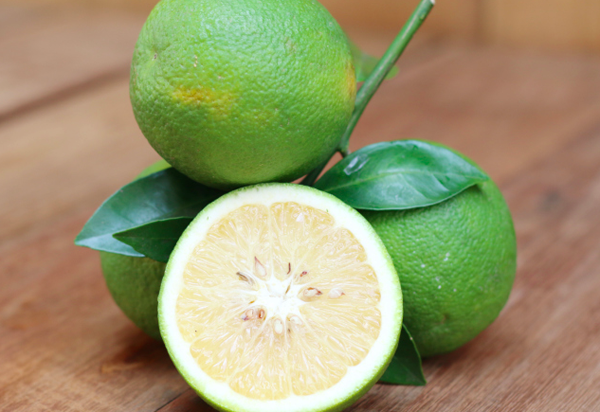 10 incredibili proprietà benefiche del bergamotto