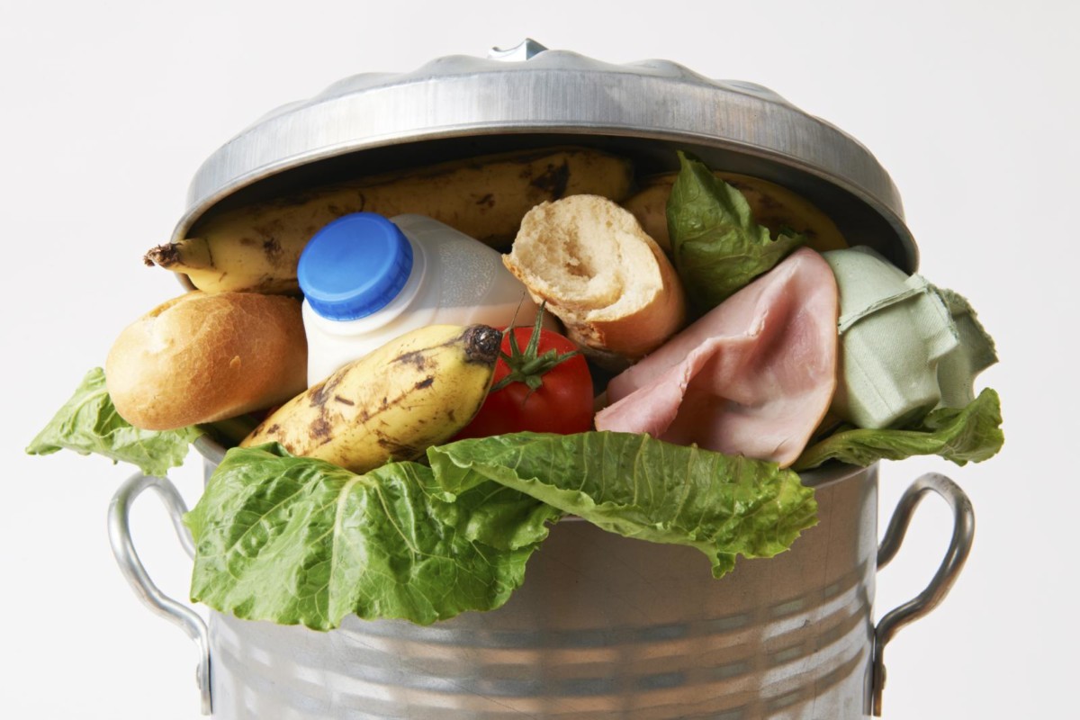 Cos'è lo spreco alimentare e come è possibile evitarlo attraverso la corretta conservazione degli alimenti